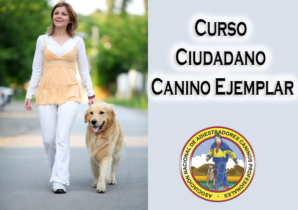 Curso Ciudadano Canino Ejemplar
